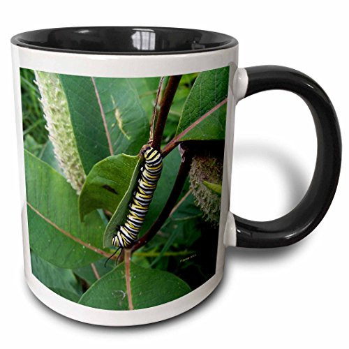 3dRose monarch caterpillar - Two Tone Black Mug, 11 oz, Multicolor 3dRose monarch caterpillar - Two Tone Black Mug, 11 oz, Multicolor