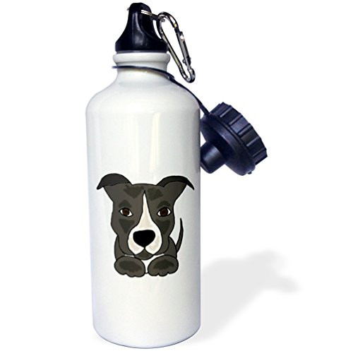 3dRose Funny Grey Pitbull Puppy Dog Cartoon-Sports Water Bottle, 21oz , 21 oz, Multicolor