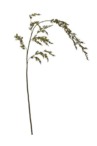 Creative Co-op 55" H Amaranthus Stem Faux Botanicals, Green