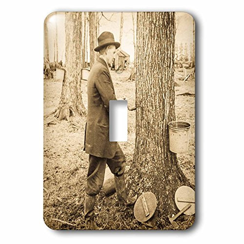 3dRose LSP_240517_1 Keystone Magic Lantern Slide Antique Tapping Maple Syrup Vermont Single Toggle Switch