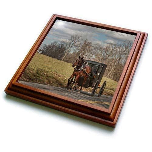 3dRose Cool Funny Moose Camping and Roasting Marshmallows Trivet with Tile, 8 by 8" 3dRose Cool Funny Moose Camping and Roasting Marshmallows Trivet with Tile, 8 by 8"