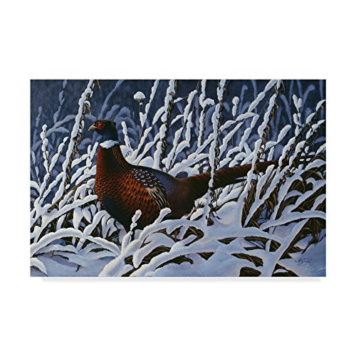Ring Neck Pheasant by Wilhelm Goebel, 12x19-Inch