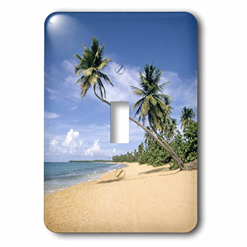 3dRose lsp_74495_1 Tropical Beaches of Puerto Rico Single Toggle Switch