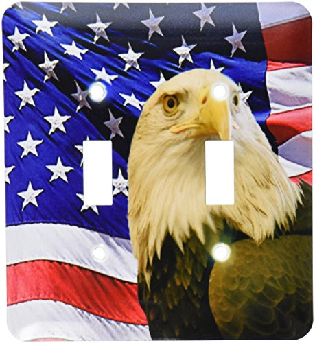 3dRose LLC lsp_21650_2 Bald Eagle And American Flag, Double Toggle Switch