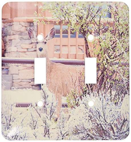 3dRose lsp_49509_2 Double Toggle Switch with Deer in Yard Peeking Around Some Bushes with Cabin Behind It