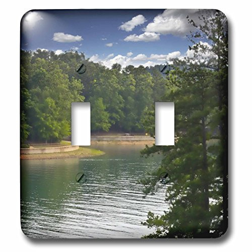 3dRose lsp_53064_2"Lake Lanier Springs to Life in Georgia Peaceful Art Décor-Double Toggle Switch