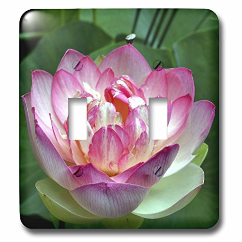 3dRose lsp_53634_2"A Beautiful lotus flower-Double Toggle Switch