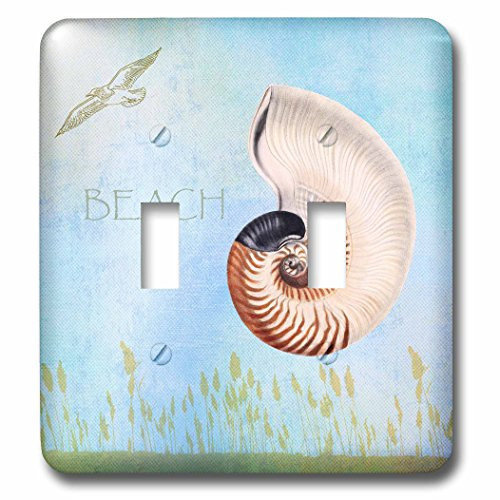 3dRose lsp_79345_2 Beautiful Shell Aqua Beach Theme Art Double Toggle Switch