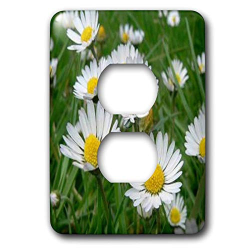 3dRose lsp_3136_6 Daisy 2 Plug Outlet Cover