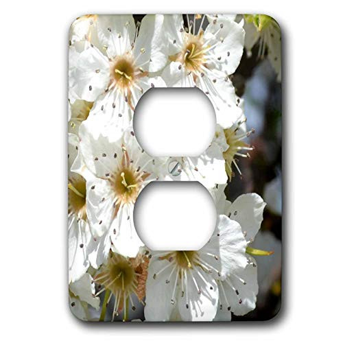 3dRose lsp_29521_6 Tree in Spring Flower Floral Photography Outlet Cover, Multicolor