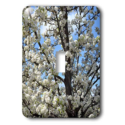 3dRose lsp_30907_1 Spring Tree Flowers Nature Toggle Switch, Multicolor