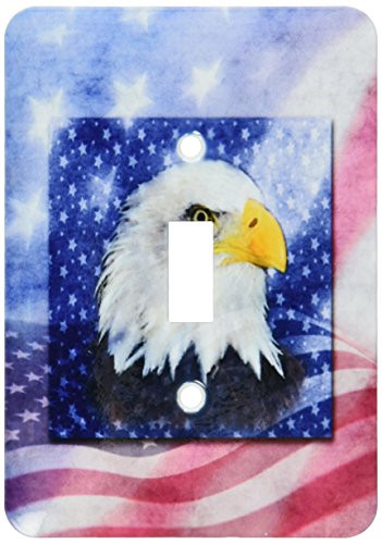 3dRose lsp_52250_1 U.S. Flag and American Eagle Single Toggle Switch
