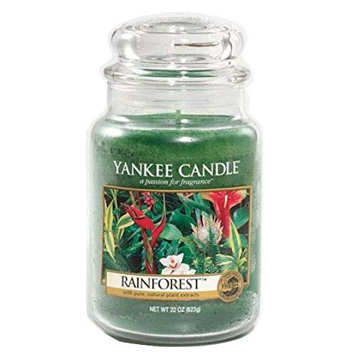 Yankee Candles Rainforest Large Jar Candle,Fresh Scent