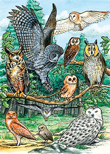 Outset Media Games OM58810 North American Owls Tray Puzzle 35 Piece Puzzle Outset Media Games OM58810 North American Owls Tray Puzzle 35 Piece Puzzle