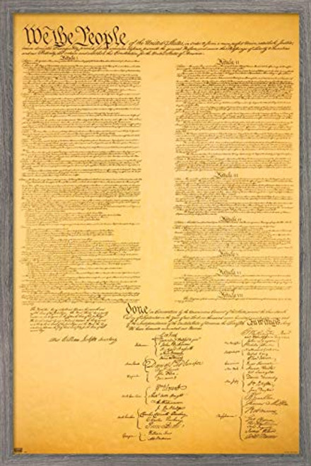 Trends International The Constitution Wall Poster, 22.375" x 34", Barnwood Framed Version Trends International The Constitution Wall Poster, 22.375" x 34", Barnwood Framed Version