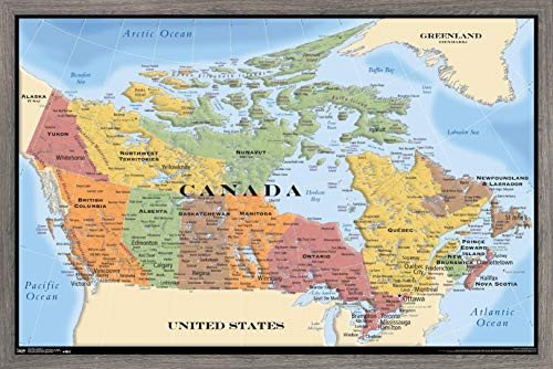 Trends International Map - Canada, 14.725" x 22.375", Barnwood Framed Version Trends International Map - Canada, 14.725" x 22.375", Barnwood Framed Version