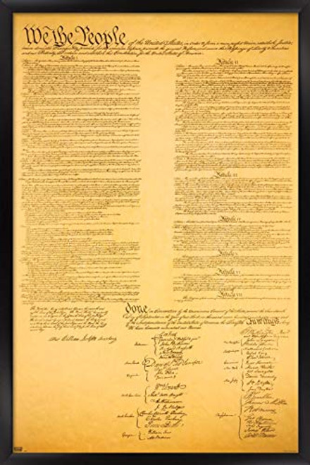 Trends International The Constitution Wall Poster, 14.725" x 22.375", Black Framed Version Trends International The Constitution Wall Poster, 14.725" x 22.375", Black Framed Version