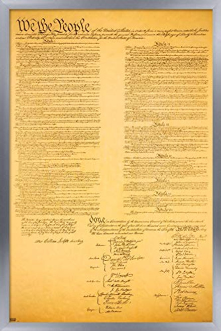 Trends International The Constitution Wall Poster, 14.725" x 22.375", Silver Framed Version Trends International The Constitution Wall Poster, 14.725" x 22.375", Silver Framed Version