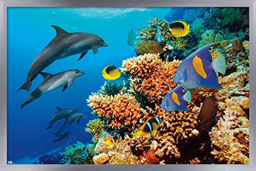 Trends International Aquatic Scene Wall Poster, 14.725" x 22.375", Silver Framed Version Trends International Aquatic Scene Wall Poster, 14.725" x 22.375", Silver Framed Version