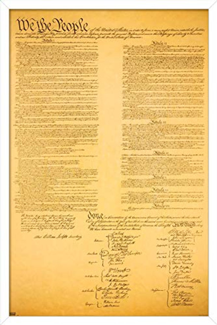 Trends International The Constitution Wall Poster, 14.725" x 22.375", White Framed Version Trends International The Constitution Wall Poster, 14.725" x 22.375", White Framed Version