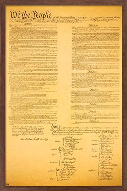 Trends International The Constitution Wall Poster, 14.725" x 22.375", Mahogany Framed Version Trends International The Constitution Wall Poster, 14.725" x 22.375", Mahogany Framed Version