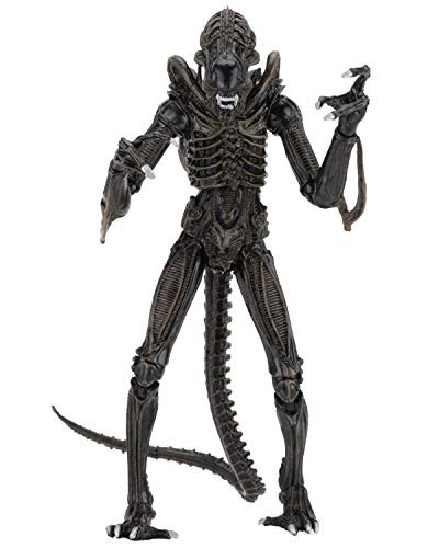 NECA - Alien- 7" Scale Action Figures - Ultimate Warrior - (1986) Brown Alien