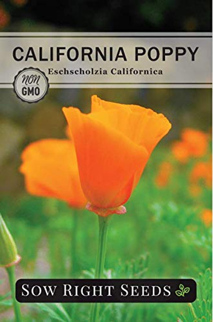 Sow Right Seeds - California Poppy Seeds to Plant - Full Instructions for Planting and Growing a Beautiful Flower Garden; Non-GMO Heirloom Seeds; Wonderful Gardening Gift (1)