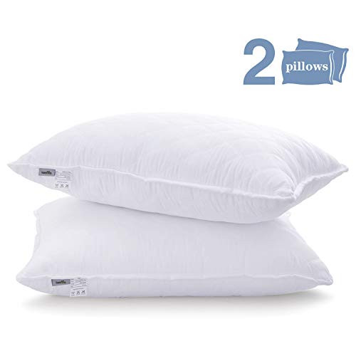 Bed Pillows for Sleeping,Hotel Quality Pillows with Premium Plush Fiber,Sleeping Pillows for Side and Back Sleeper (Queen)