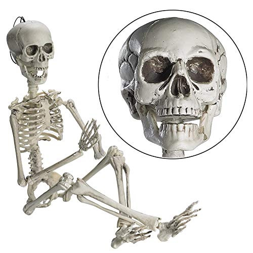 Halloween Skeleton, 20" Realistic Full Body Halloween Skeleton with Movable/Posable Joints, Plastic Human Bones Body Prop for Halloween Decoration Haunted House Graveyard Indoor/Outdoor Party Decor