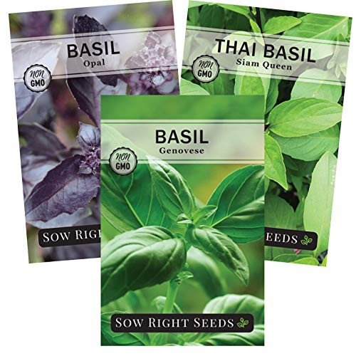 Sow Right Seeds - Basil Seed Collection to Plant - Genovese Basil, Thai Basil, Opal Basil, Non-GMO Heirloom Seeds - Instructions for Planting Indoors or Outdoor; Great Gardening Gift Sow Right Seeds - Basil Seed Collection to Plant - Genovese Basil, Thai Basil, Opal Basil, Non-GMO Heirloom Seeds - Instructions for Planting Indoors or Outdoor; Great Gardening Gift