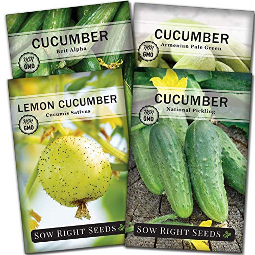 Sow Right Seeds - Cucumber Seed Collection for Planting - Armenian, Pickling, Lemon, Beit Alpha Variety Pack, Non-GMO Heirloom Seeds to Plant and Grow a Home Vegetable Garden, Great Gardening Gift