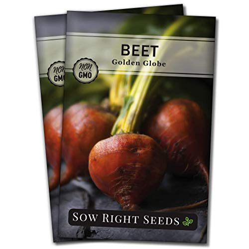 Sow Right Seeds - Golden Globe Beet Seed for Planting - Non-GMO Heirloom Packet with Instructions to Plant a Home Vegetable Garden - Great Gardening Gift (2)