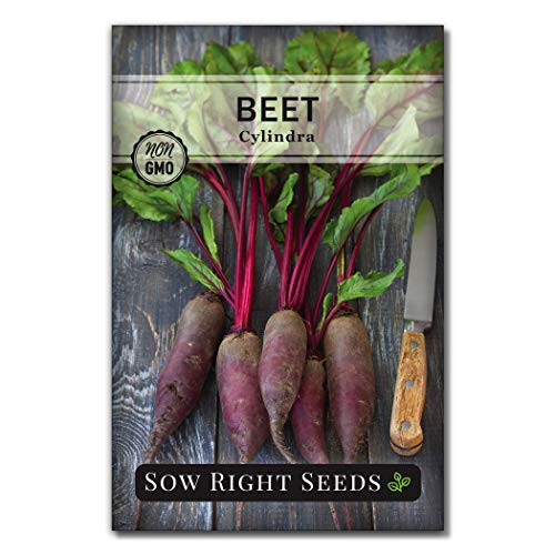 Sow Right Seeds - Cylindra Beet Seed for Planting - Non-GMO Heirloom Packet with Instructions to Plant a Home Vegetable Garden - Great Gardening Gift (1)