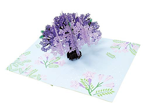 Jacaranda Tree - 3D Pop Up Greeting Card For All Occasions - Love, Birthday, Christmas, Goodluck, Congrats, Get Well - Message Note for Personalized - Amazing Gift - Thick Envelope, Fold Flat