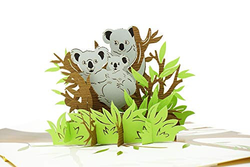 Koala Family - 3D Pop Up Greeting Card For All Occasions - Love, Birthday, Christmas, Father Day, Mother Day, Good Luck - Message Note for Personalized - Amazing Gift - Thick Envelope, Fold Flat
