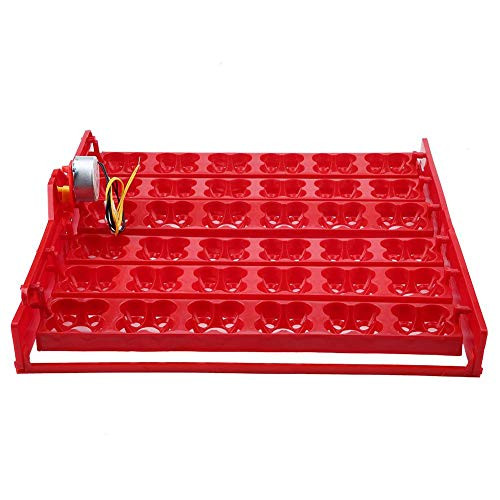Yoidesu Automatic Egg Turner,Automatic 144 Eggs Quail Turner Tray for Incubator,AC 110V / 220V Motor(110V)
