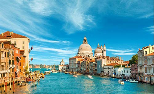 1000 Piece Jigsaw Puzzle Kids Adult  Puzzle Box for Adults - Challenge Jigsaw Puzzle - Educational Intellectual Decompressing Fun Family Game (Venice on Water)