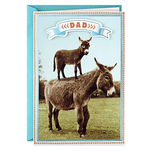 Hallmark Funny Shoebox Fathers Day Card for Dad (Little Pain)