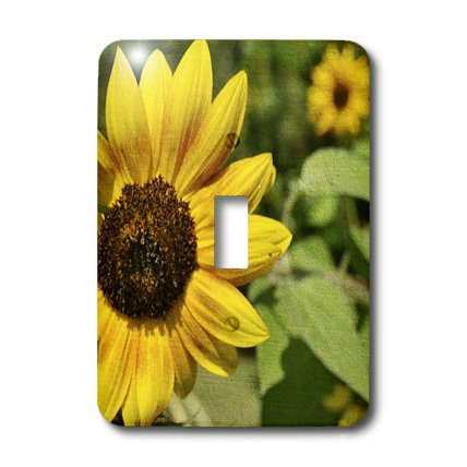 3dRose lsp_44694_1 Yellow Sunflower In Summer Toggle switch