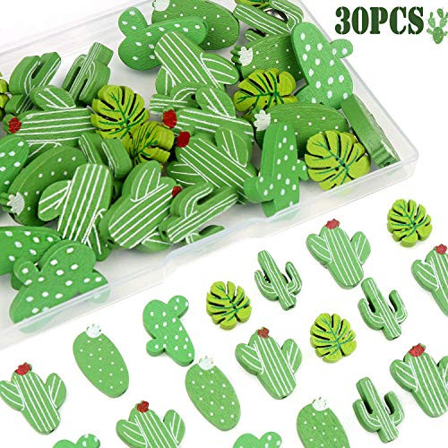 FINGOOO 30 Pieces Cactus Pushpins Cute Cactus Thumb Tacks Decorative Thumbtacks for Feature Wall, Whiteboard, Corkboard, Photo Wall Decorations, with Storage Box