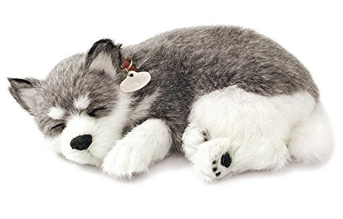 Realistic Breathing Alaskan Husky - Perfect Petzzz Life Like Husky Dog