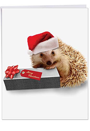 Large 'From The Hedge Present' with Envelope 8.5 x 11 Inch - Season's Greetings from A Cute Hedgehog Dressed in A Santa Hat - Animal Christmas Note Card J6541EXSG