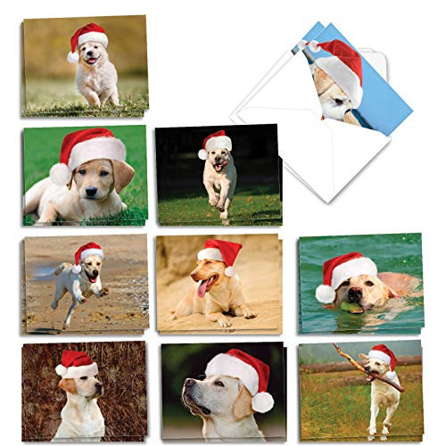 The Best Card Company Lovable Labs - 20 Assorted Boxed Merry Christmas Note Cards with Envelopes (4 x 5.12 Inch) - Loyal Pups AM6325XSG-B2x10