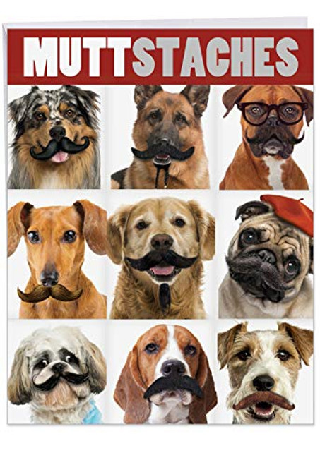 Extra Large Happy Birthday Note Card With Envelope 8.5 x 11 Inch - 'Muttstaches' Happy Appreciation Funny Card - Puppies and Dogs With Mustache - Birthdays Greeting Card J9716 Extra Large Happy Birthday Note Card With Envelope 8.5 x 11 Inch - 'Muttstaches' Happy Appreciation Funny Card - Puppies and Dogs With Mustache - Birthdays Greeting Card J9716