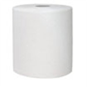 Seeds of Change 01080 Certified Organic Seed, Oregon Spring Bush Tomato