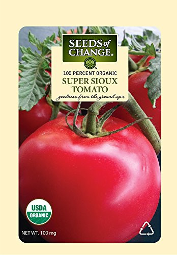 Seeds of Change 01613 Certified Organic Super Sioux Tomato