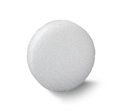 FloraCraft Styrofoam Disc 1.9 Inch x 9.8 Inch White