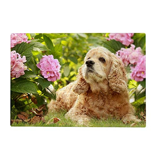 1000 Piece Jigsaw Puzzles for Adults - English Cocker Spaniel Dog