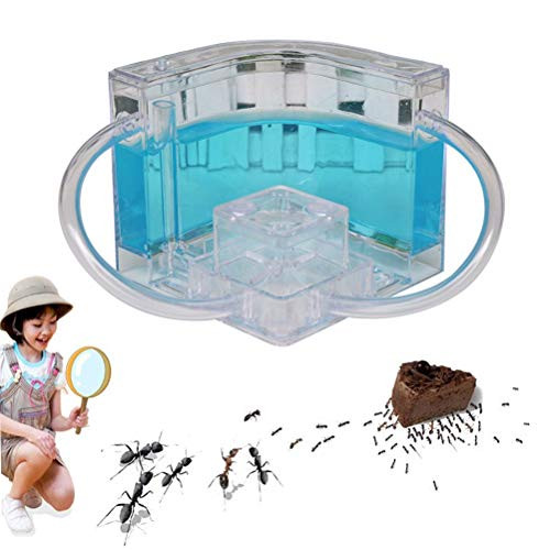 Ant Farm Castle with Tubes, Habitat Educational & Learning Science Kit Toy for Kids  Permit Study of Ecosystem, Behavior of Ants Within The 3D Maze of Translucent Gelant-