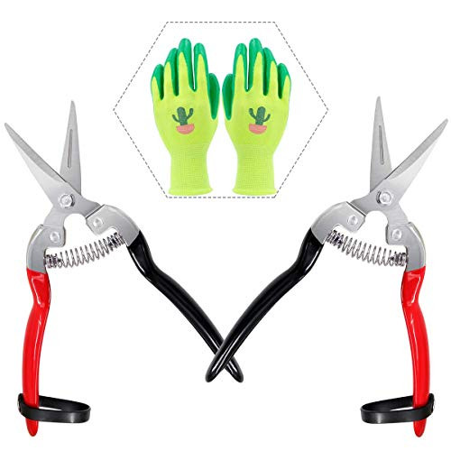 Jaridneer 2Pcs Garden Pruning Snips Micro-Tip, Stainless Steel Gardening Pruning Snips, Delicate Trimming Scissors - Flowers Bonsai Fruits Stem